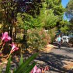 Camping Le Mas Du Padre - Bild 5