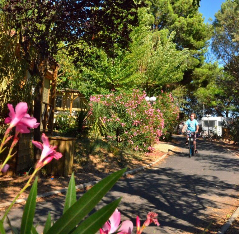 Camping Le Mas Du Padre - Bild 5