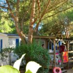 Camping Le Mas Du Padre - Bild 8