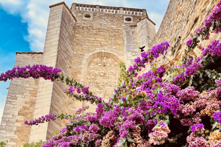 Camping Le Matin Calme - Bild 5