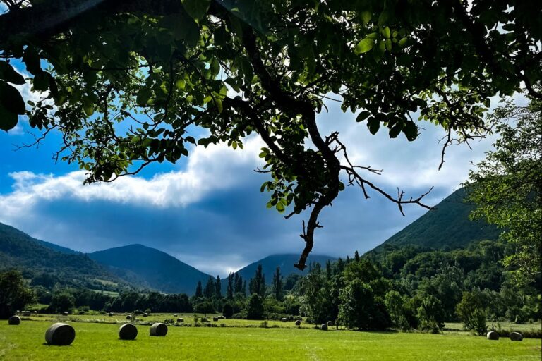 Camping Le Matin Calme - Bild 6