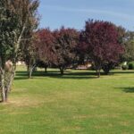 Camping Le Mondou - Bild 8 Camping Le Mondou - Bild 8