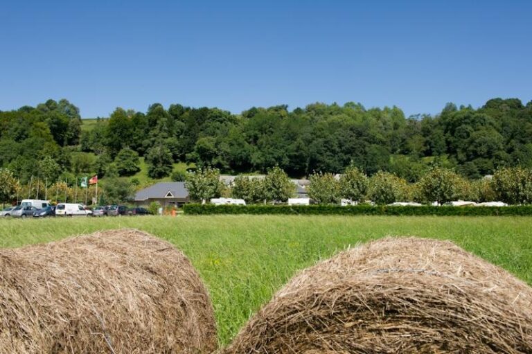 Camping Le Monlôo - Bild 5