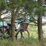 Camping Le Moulin De Cantizac - Bild 11