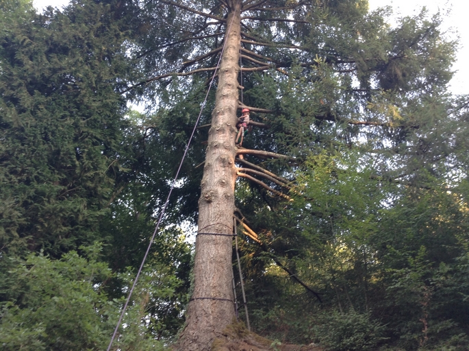 Camping Le Moulin De Piot - Bild 15 Camping Le Moulin De Piot - Bild 15