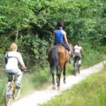 Camping Le Mouretou - Bild 5