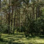 Camping Le Parc Des Sérigons - Bild 20