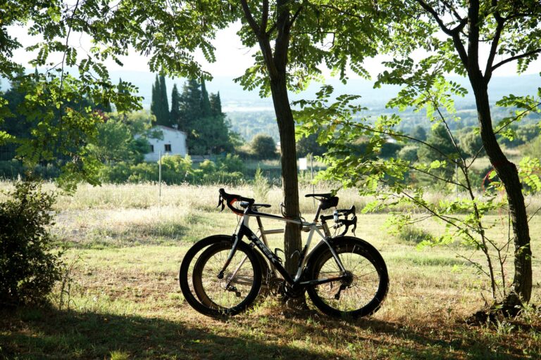 Camping Le Pastory - Bild 14