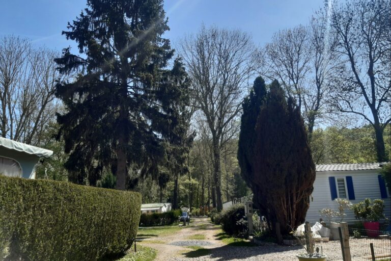 Camping Le Pré Des Moines - Bild 6