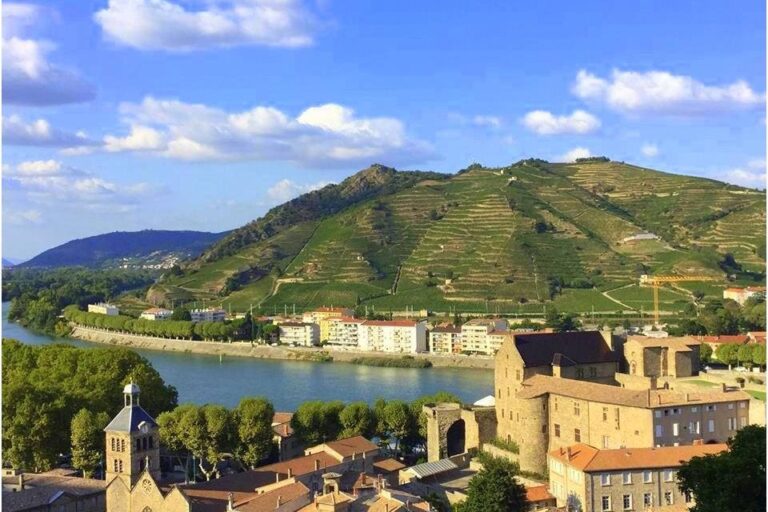 Camping Le Rhône - Bild 8