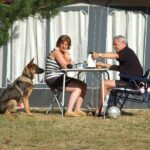 Camping Le Roc Qui Parle - Bild 2