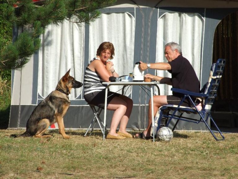 Camping Le Roc Qui Parle - Bild 2