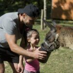 Camping Le Ruisseau Des Pyrénées - Bild 10 Camping Le Ruisseau Des Pyrénées - Bild 10