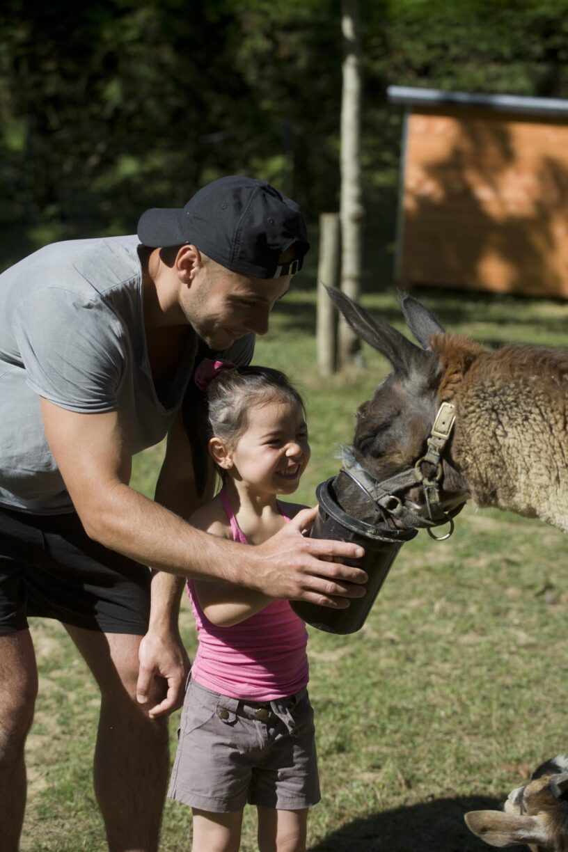 Camping Le Ruisseau Des Pyrénées - Bild 10 Camping Le Ruisseau Des Pyrénées - Bild 10