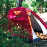 Camping Le Saint Martin - Bild 10
