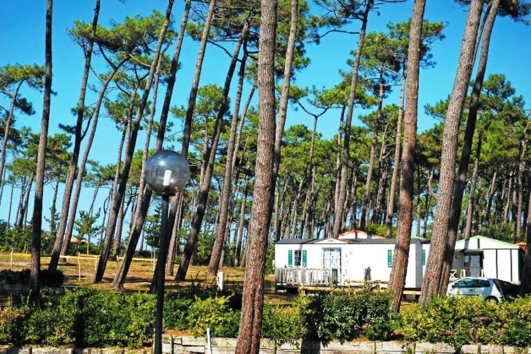 Camping Le Saint Martin - Bild 9