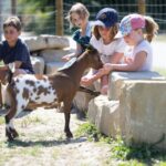 Camping Le Soleil Fruité - Bild 8 Camping Le Soleil Fruité - Bild 8