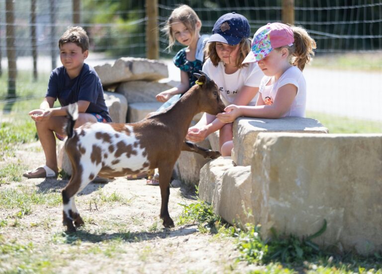 Camping Le Soleil Fruité - Bild 8 Camping Le Soleil Fruité - Bild 8