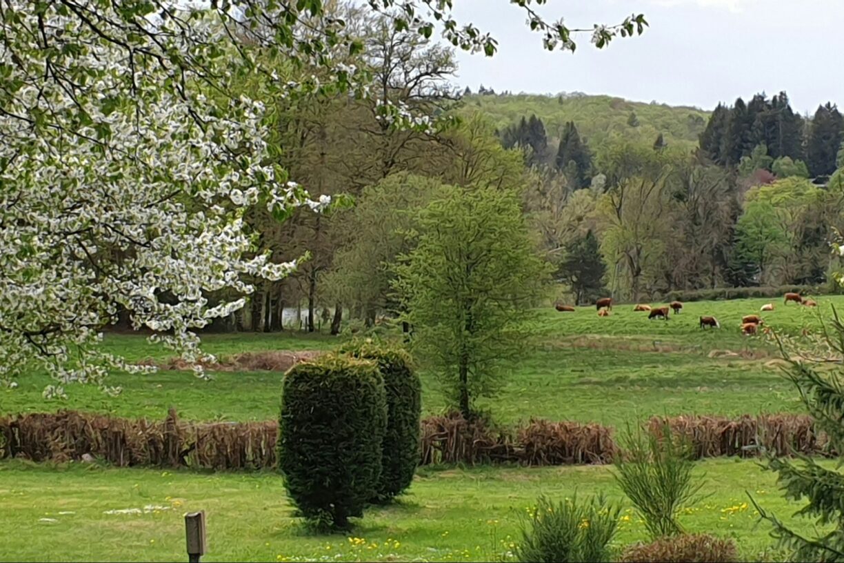 Camping Le Soustran - Bild 4 Camping Le Soustran - Bild 4