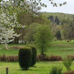 Camping Le Soustran - Bild 4 Camping Le Soustran - Bild 4