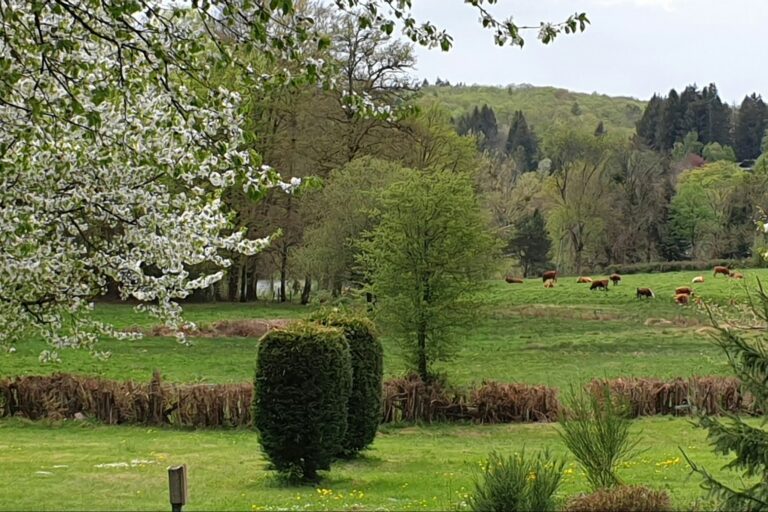 Camping Le Soustran - Bild 4 Camping Le Soustran - Bild 4