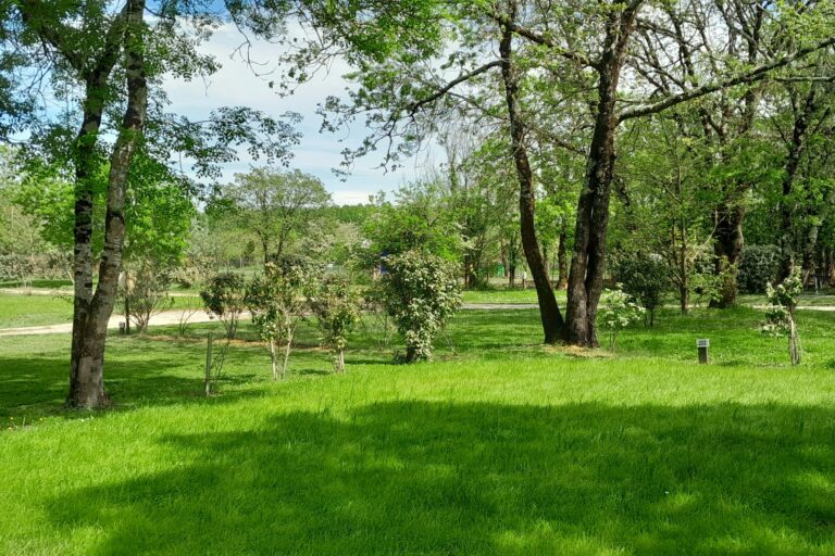 Camping Le Transat - Bild 4