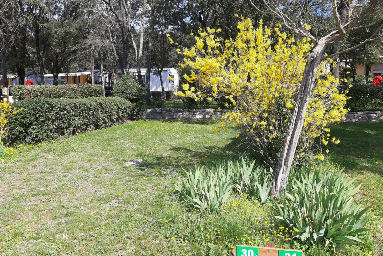 Camping Le Val D'hérault - Bild 3 Camping Le Val D'hérault - Bild 3