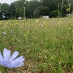 Camping Le Valenty - Bild 2