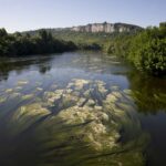 Camping Le Village Du Port - Bild 13