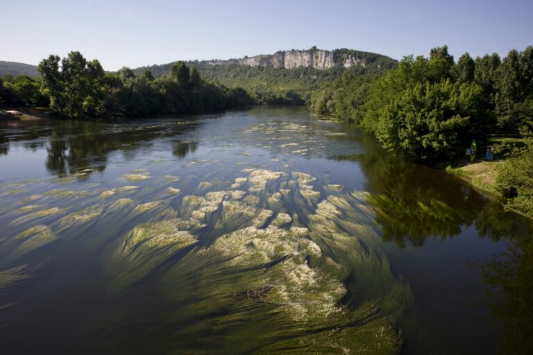 Camping Le Village Du Port - Bild 13