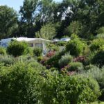 Camping Les 12 Cols - Bild 11