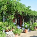 Camping Les 3 Cantons - Bild 5