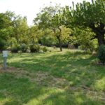 Camping Les Arches - Bild 17