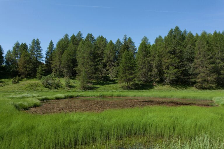 Camping Les Auches - Bild 8 Camping Les Auches - Bild 8