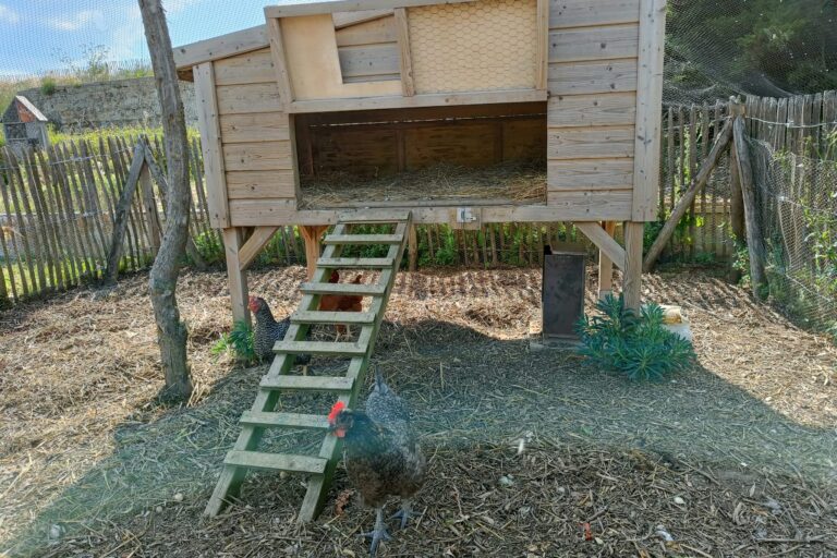 Camping Les Baleines - Bild 11