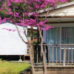 Camping Les Casteillets - Bild 15 Camping Les Casteillets - Bild 15