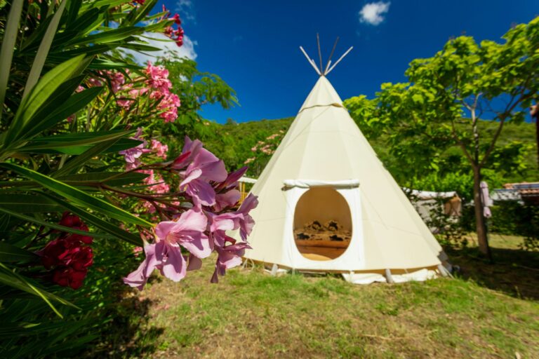 Camping Les Cerisiers Du Jaur - Bild 11