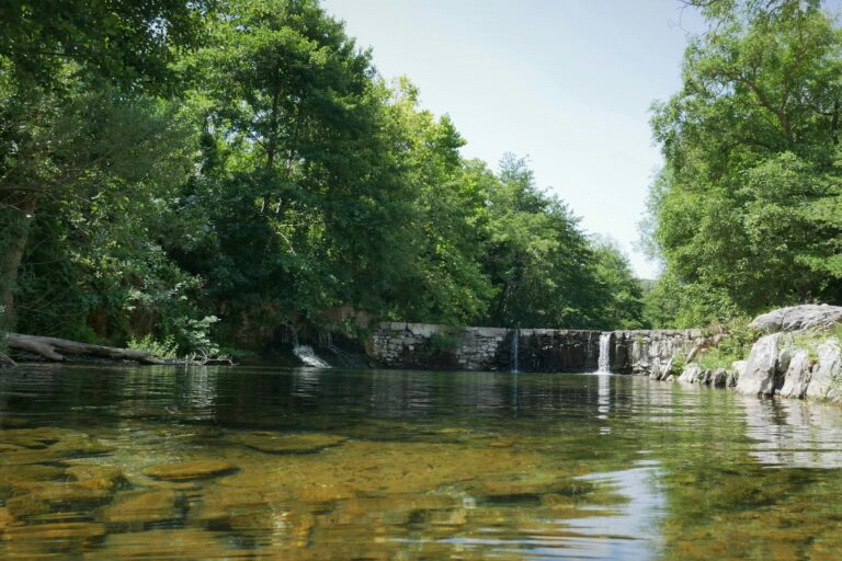 Camping Les Cerisiers Du Jaur - Bild 19