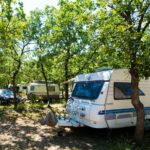 Camping Les Chênes Blancs - Bild 1 Camping Les Chênes Blancs - Bild 1