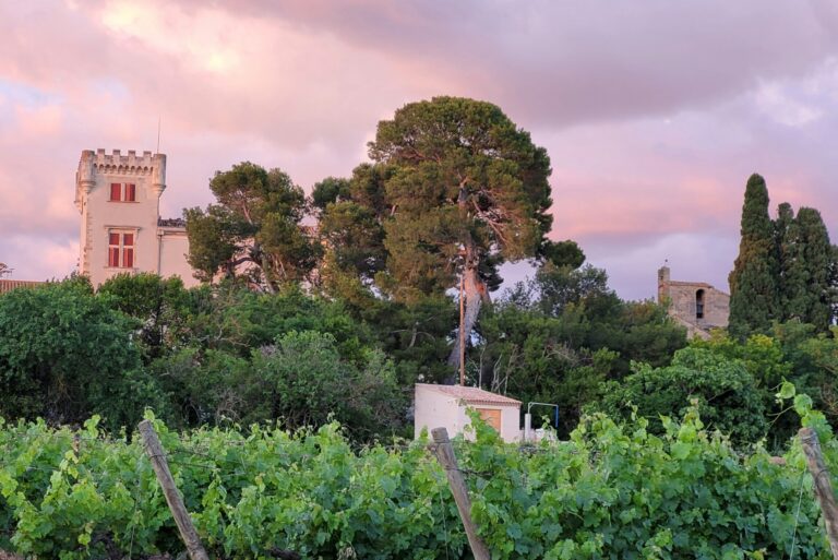 Camping Les Cigales - Bild 2