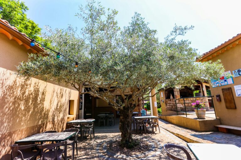 Camping Les Cruses - Bild 7 Camping Les Cruses - Bild 7