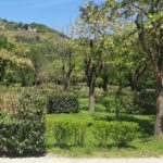 Camping Les Foulons - Bild 2