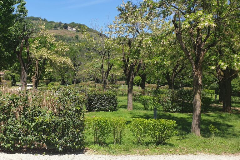 Camping Les Foulons - Bild 2