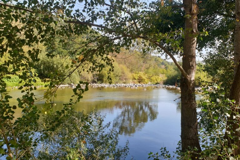 Camping Les Foulons - Bild 9