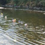 Camping Les Gorges De L'hérault - Bild 11