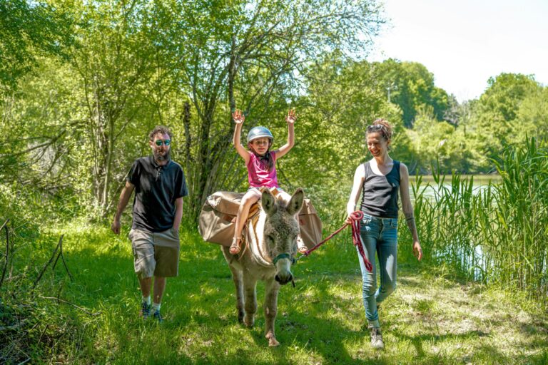 Camping Les Gorges Du Chambon - Bild 14