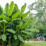 Camping Les Granges - Bild 5