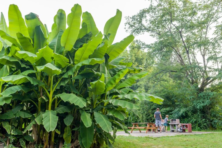 Camping Les Granges - Bild 5