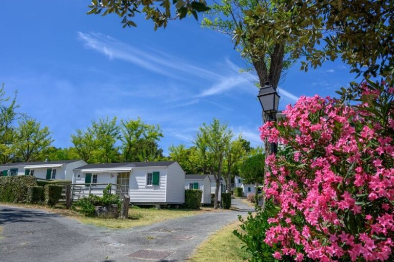 Camping Les Gros Joncs - Bild 11