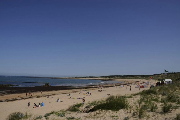 Camping Les Gros Joncs - Bild 2